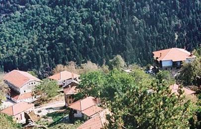 εζηηαηόξηα, θαη πξνζθέξεηαη γηα θάζε κνξθή ελαιιαθηηθό ηνπξηζκό όπσο νξεηλή ηππαζία, νξεηβαζία, πεδνπνξία θ.ά. Δληππσζηαθό είλαη ην κεγάιν πιαηάλη ηεο πιαηείαο ηνπ Παιαηνύ ρσξηνύ ηεο Άλσ θνηίλαο.