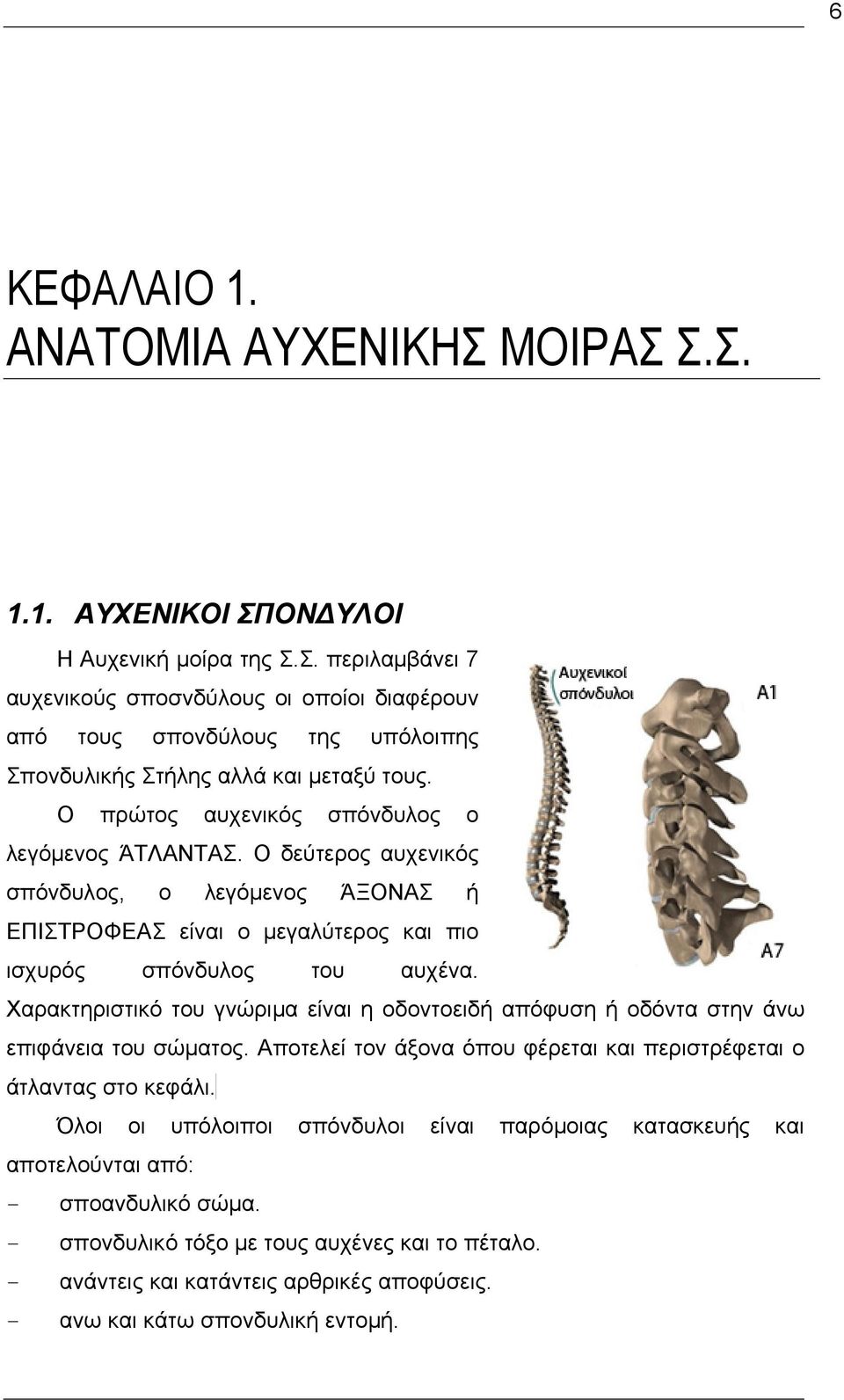 Χαρακτηριστικό του γνώριμα είναι η οδοντοειδή απόφυση ή οδόντα στην άνω επιφάνεια του σώματος. Αποτελεί τον άξονα όπου φέρεται και περιστρέφεται ο άτλαντας στο κεφάλι.