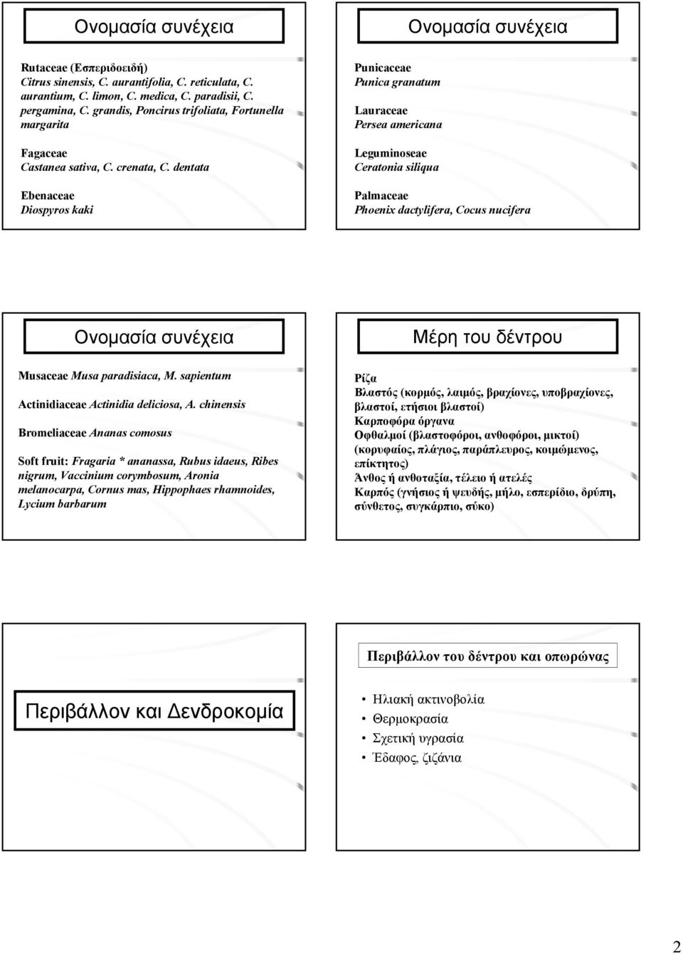 dentata Ebenaceae Diospyros kaki Punicaceae Punica granatum Lauraceae Persea americana Leguminoseae Ceratonia siliqua Palmaceae Phoenix dactylifera, Cocus nucifera Ονομασία συνέχεια Μέρη του δέντρου