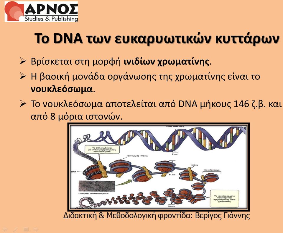 Η βασική μονάδα οργάνωσης της χρωματίνης είναι το