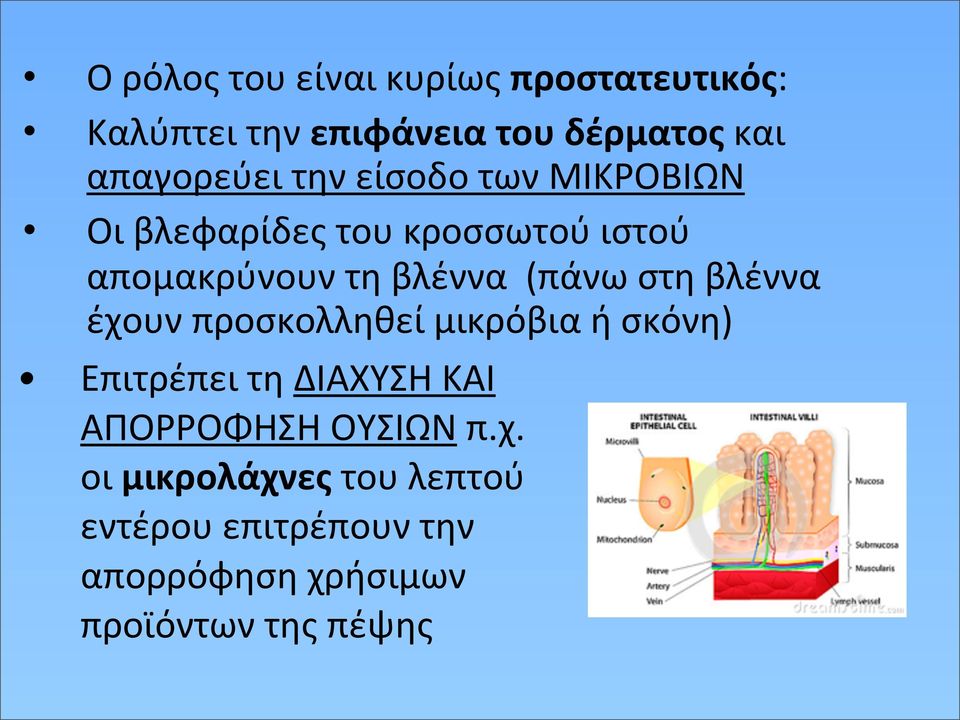 απομακρύνουν"τη"βλέννα""(πάνω"στη"βλέννα" έχουν"προσκολληθεί"μικρόβια"ή"σκόνη)