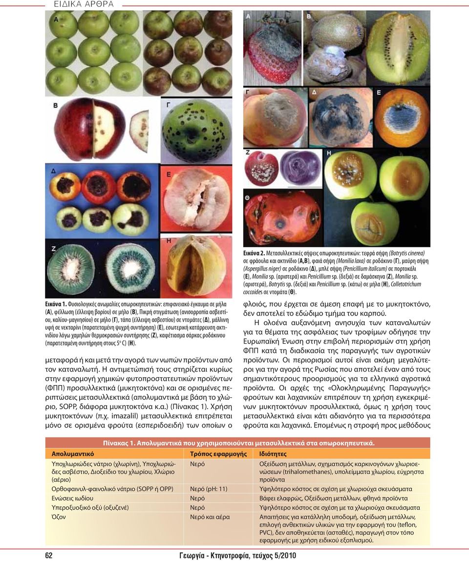 italicum σε πορτοκάλι (Ε, Monilia sp. (αριστερά και Penicillium sp. (δεξιά σε δαμάσκηνα (Ζ, Monilia sp. (αριστερά, Botrytis sp. (δεξιά και Penicillium sp.