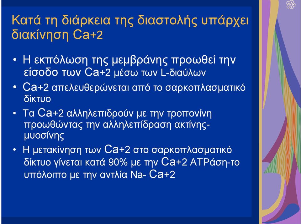 αλληλεπιδρούν µε την τροπονίνη προωθώντας την αλληλεπίδραση ακτίνης- µυοσίνης Η µετακίνηση των