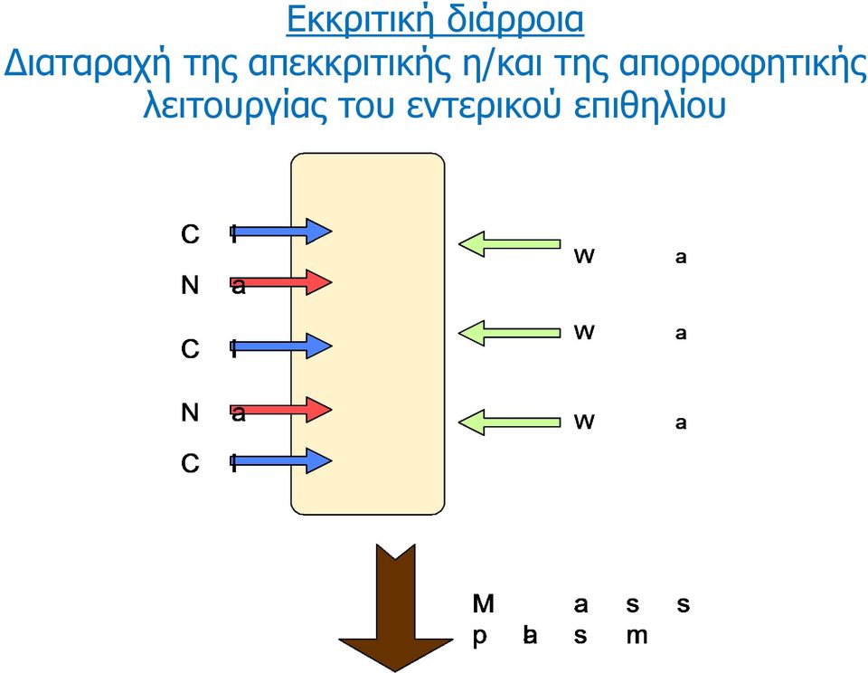 η/και της απορροφητικής