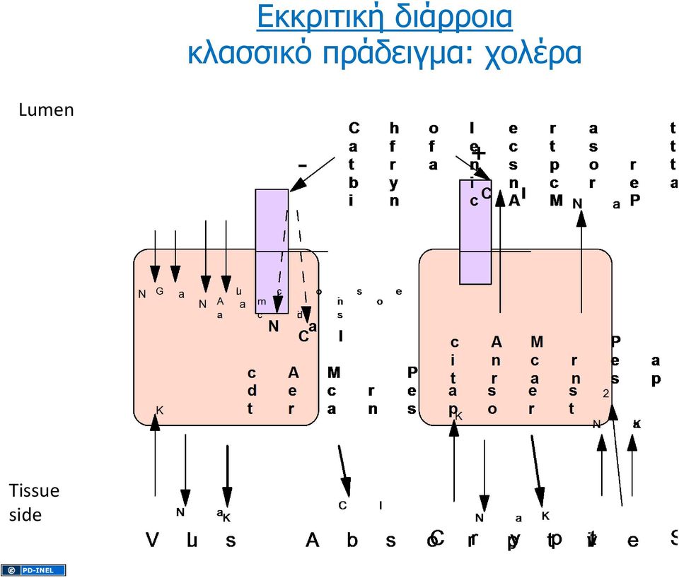 κλασσικό