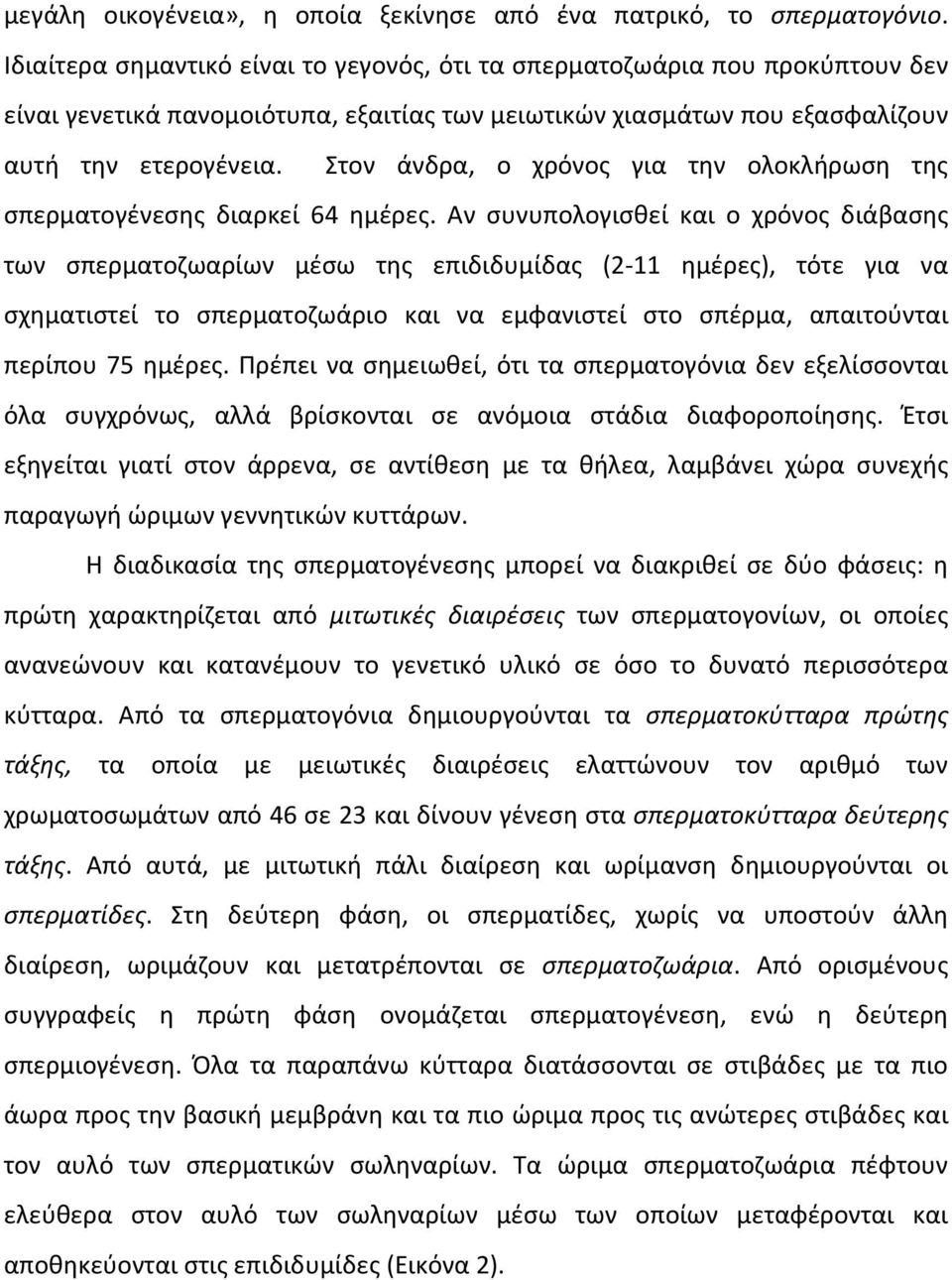 Στον άνδρα, ο χρόνος για την ολοκλήρωση της σπερματογένεσης διαρκεί 64 ημέρες.