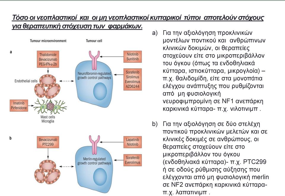 μικρογλοία) π.χ. θαλιδομίδη, είτε στα μονοπάτια ελέγχου ανάπτυξης που ρυθμίζονται από μη φυσιολογική νευροφιμπρομίνη σε NF1 ανεπάρκη καρκινικά κύτταρα- π.χ. νιλοτινιμπ.