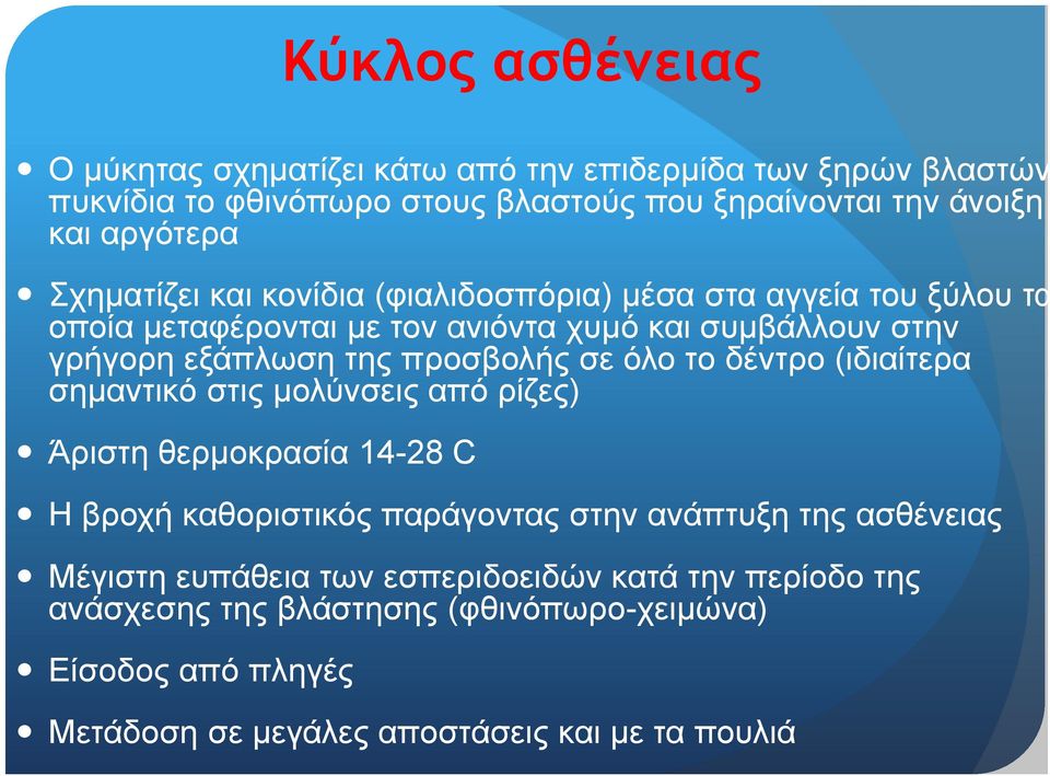 σε όλο το δέντρο (ιδιαίτερα σημαντικό στις μολύνσεις από ρίζες) Άριστη θερμοκρασία 14-28 C Η βροχή καθοριστικός παράγοντας στην ανάπτυξη της ασθένειας