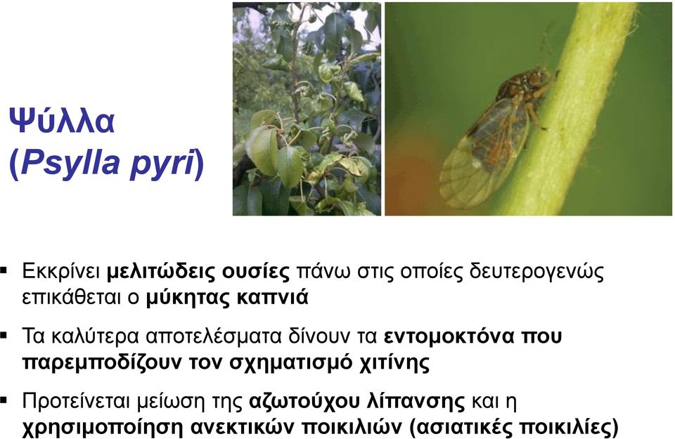 τα εντομοκτόνα που παρεμποδίζουν τον σχηματισμό χιτίνης Προτείνεται