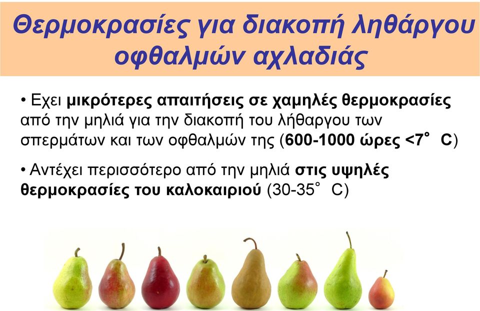 λήθαργου των σπερμάτων και των οφθαλμών της (600-1000 ώρες <7 C)