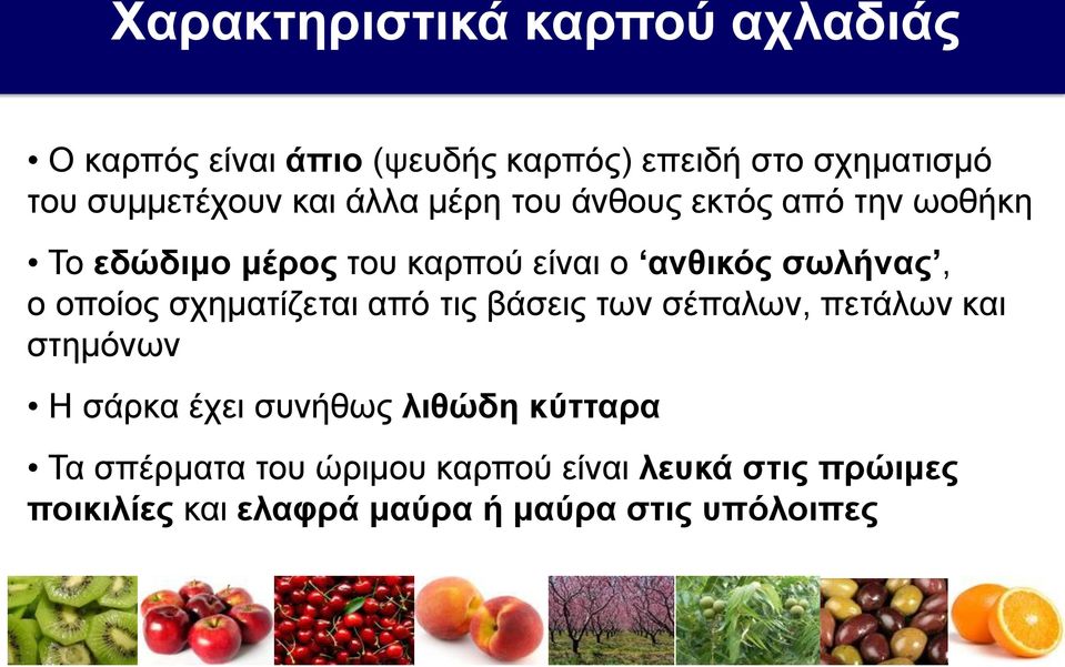 σωλήνας, ο οποίος σχηματίζεται από τις βάσεις των σέπαλων, πετάλων και στημόνων Η σάρκα έχει συνήθως