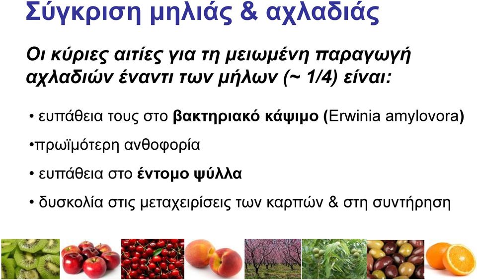 στο βακτηριακό κάψιμο (Erwinia amylovora) πρωϊμότερη ανθοφορία