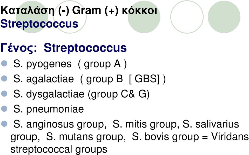 dysgalactiae (group C& G) S. pneumoniae S. anginosus group, S.