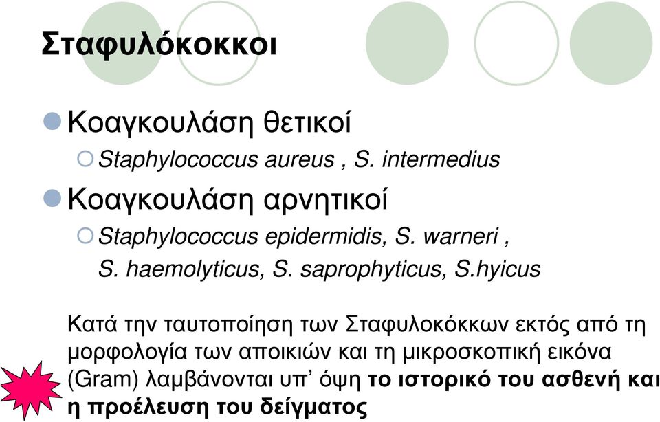 haemolyticus, S. saprophyticus, S.