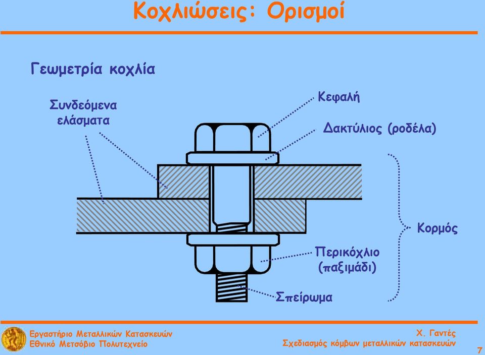 Κεφαλή Δακτύλιος (ροδέλα)