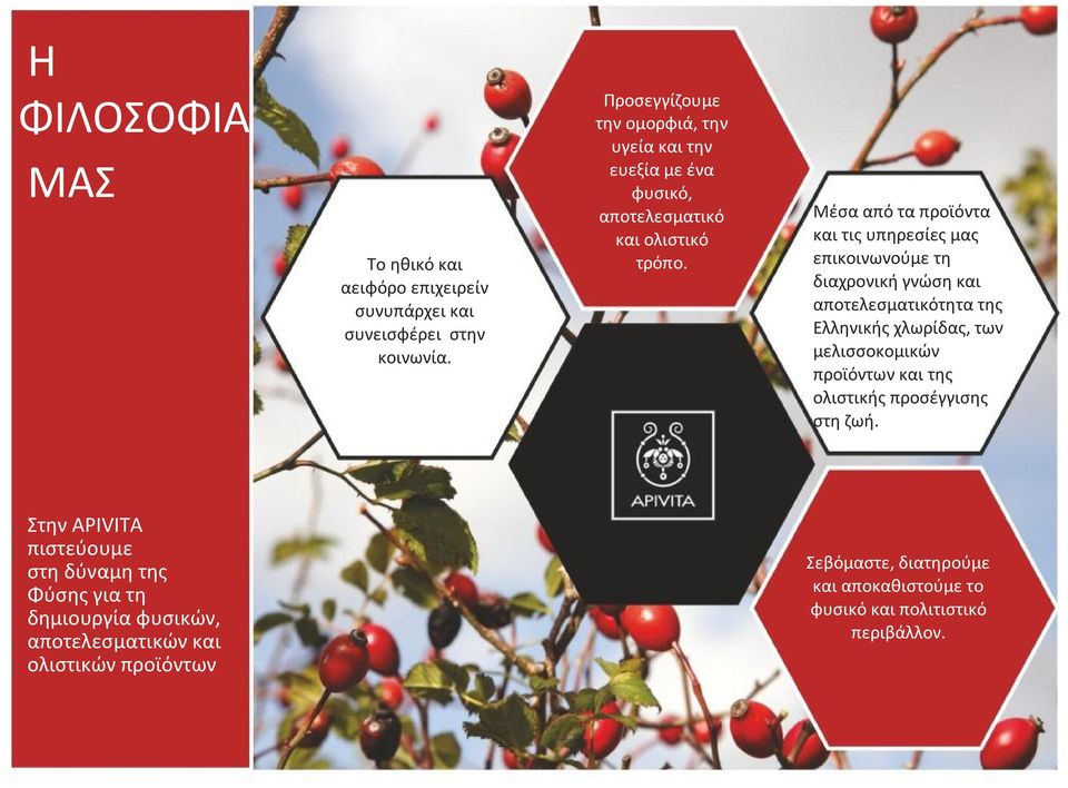 Μέσα από τα προϊόντα και τις υπηρεσίες μας επικοινωνούμε τη διαχρονική γνώση και αποτελεσματικότητα της Ελληνικής χλωρίδας, των μελισσοκομικών