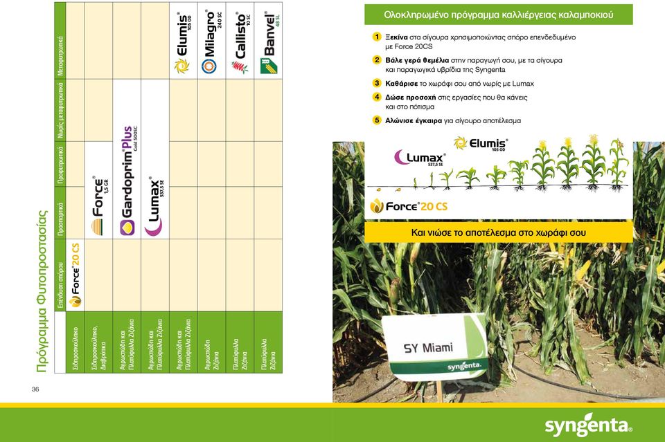 Ζιζάνια 1 Ξεκίνα στα σίγουρα χρησιμοποιώντας σπόρο επενδεδυμένο με Force 20CS 2 Βάλε γερά θεμέλια στην παραγωγή σου, με τα σίγουρα και παραγωγικά υβρίδια της Syngenta 3