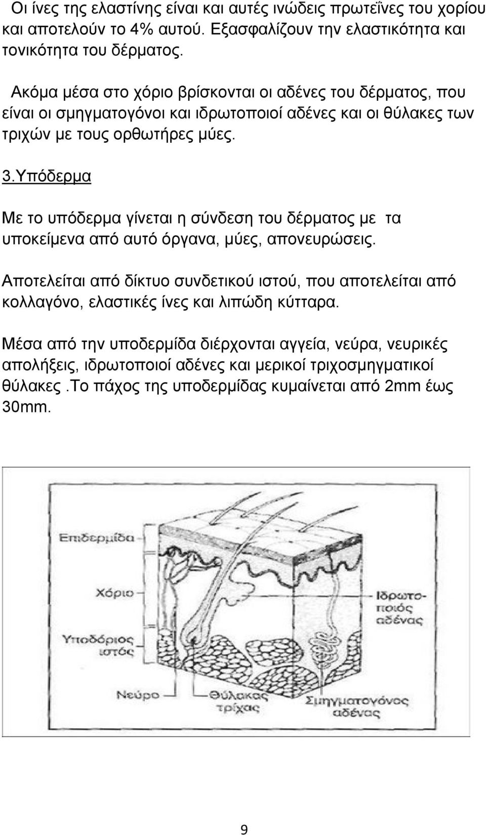 Υπόδερμα Με το υπόδερμα γίνεται η σύνδεση του δέρματος με τα υποκείμενα από αυτό όργανα, μύες, απονευρώσεις.