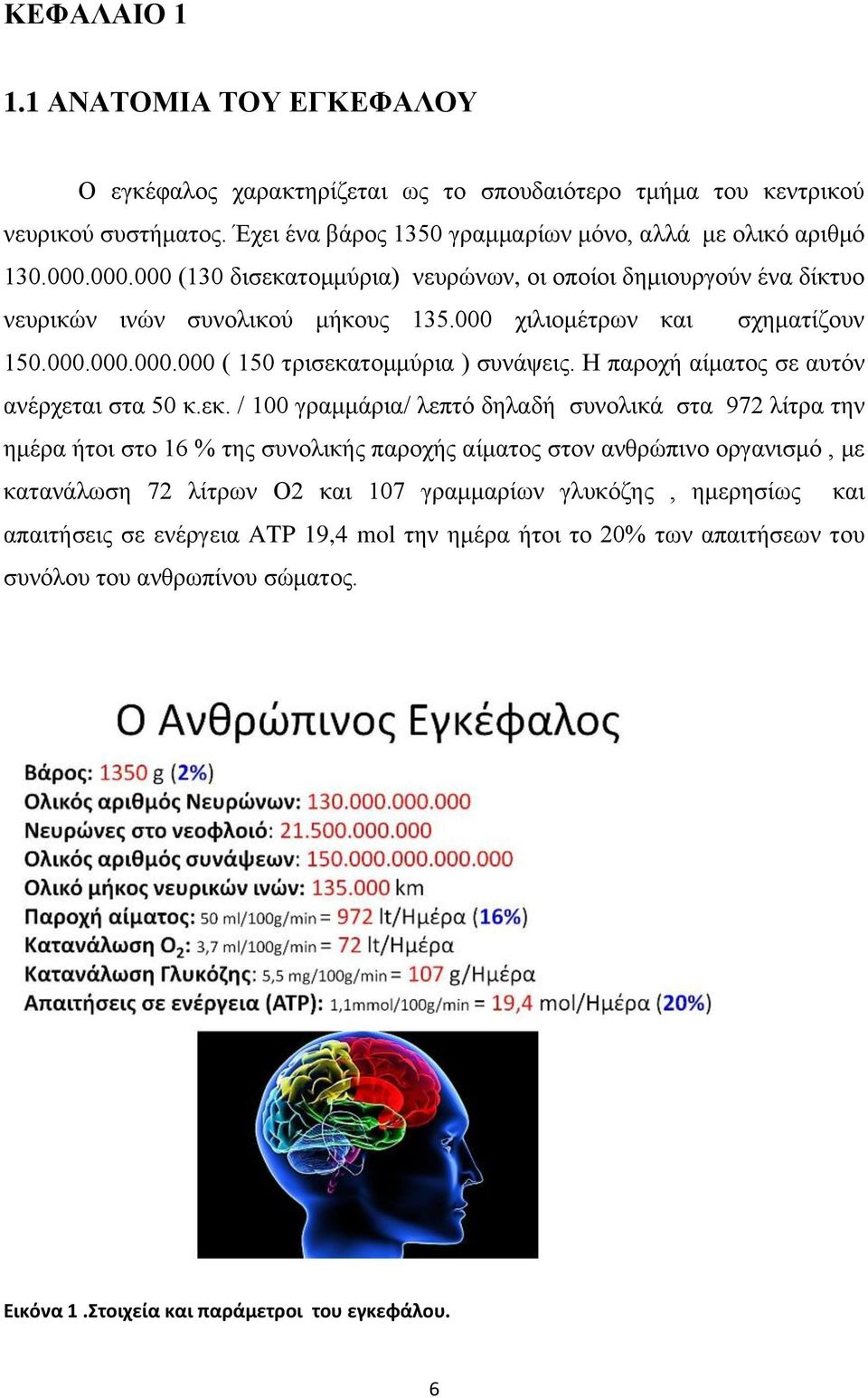 Η παροχή αίματος σε αυτόν ανέρχεται στα 50 κ.εκ.