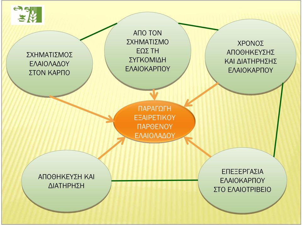 ΑΠΟΘΗΚΕΥΣΗΣ ΚΑΙ ΙΑΤΗΡΗΣΗΣ ΕΛΑΙΟΚΑΡΠΟΥ