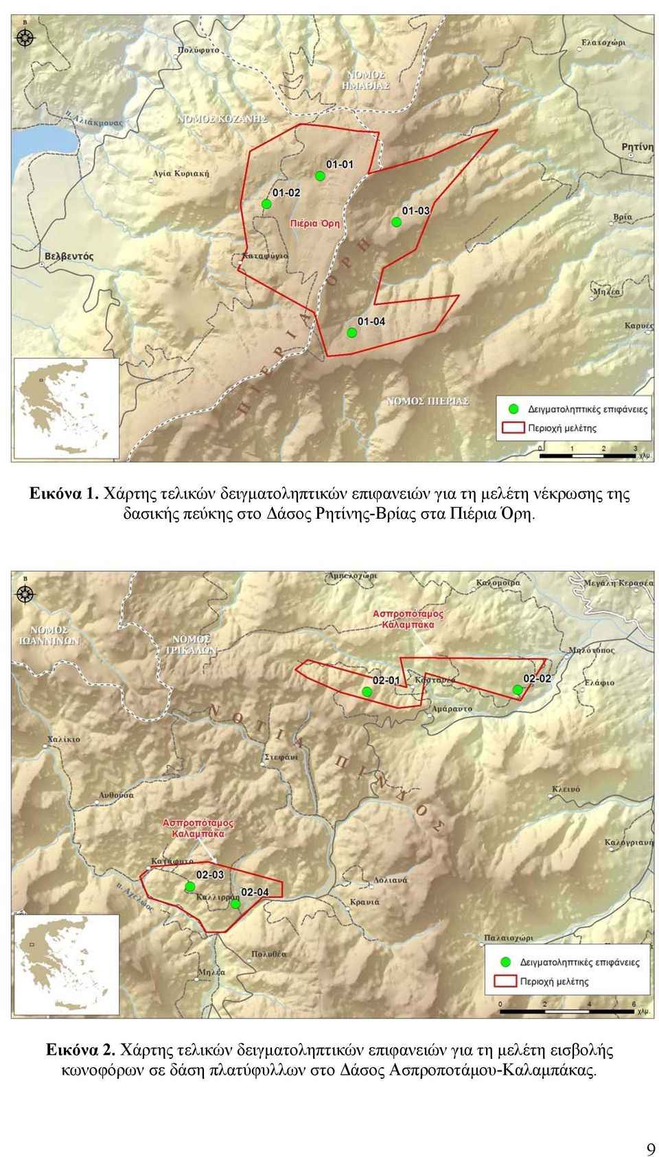 δασικής πεύκης στο Δάσος Ρητίνης-Βρίας στα Πιέρια Όρη. Εικόνα 2.