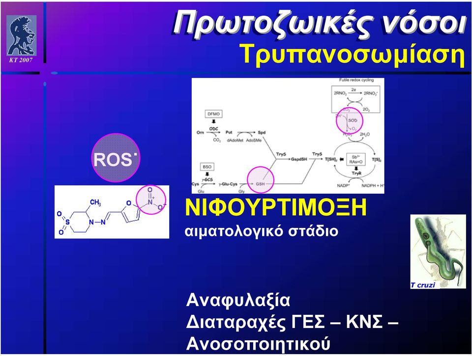 στάδιο Αναφυλαξία