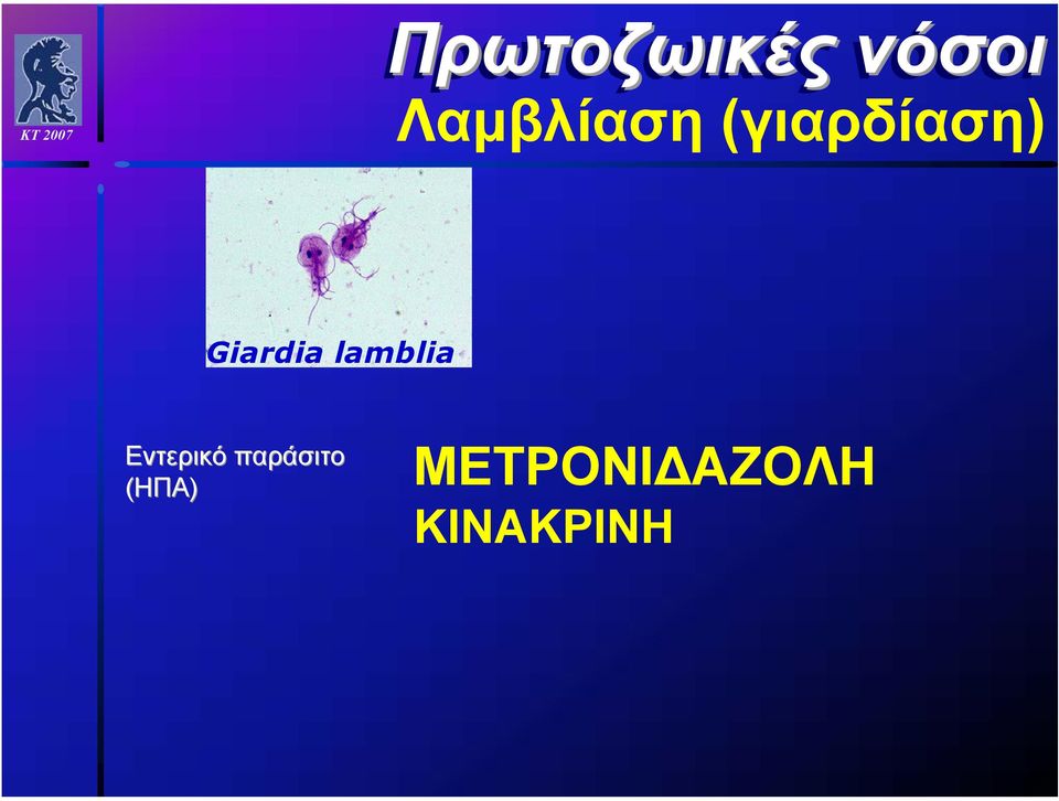 Εντερικό παράσιτο