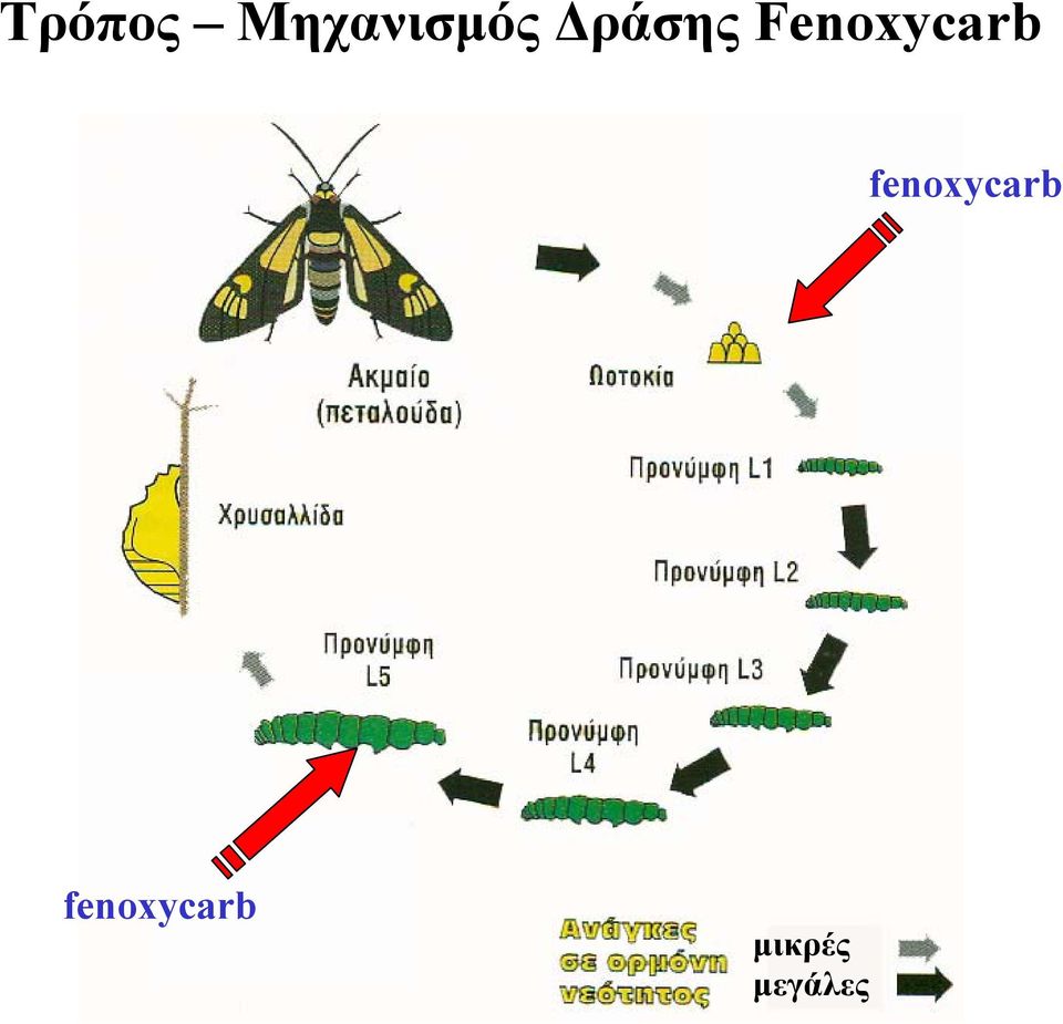 fenoxycarb