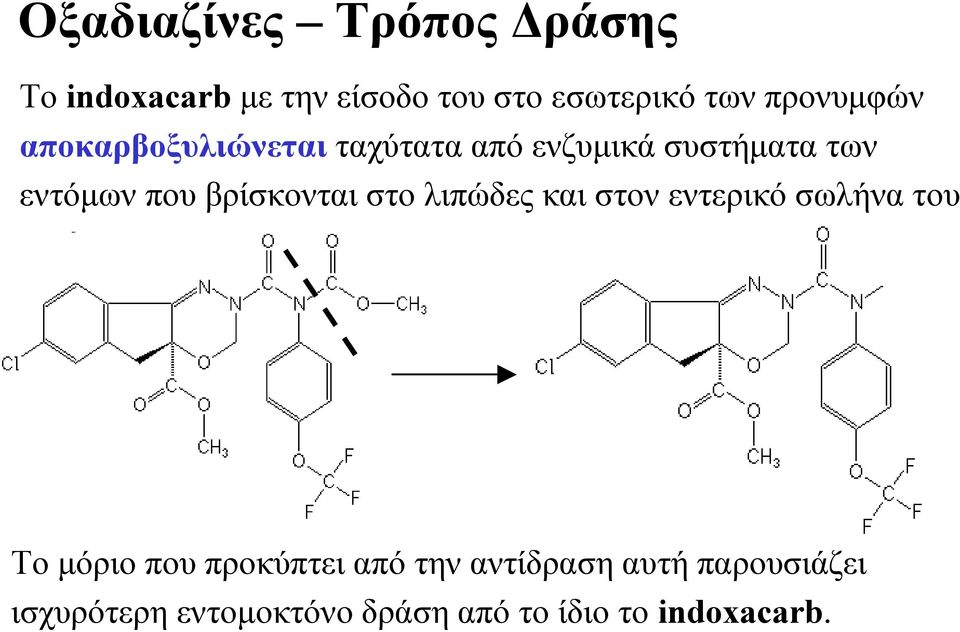 βρίσκονται στο λιπώδες και στον εντερικό σωλήνα του εντόμου Το μόριο που