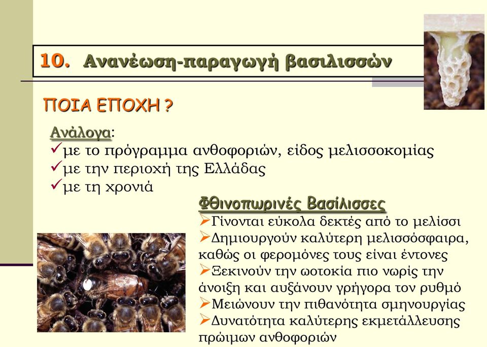 Βασίλισσες Γίνονται εύκολα δεκτές από το μελίσσι Δημιουργούν καλύτερη μελισσόσφαιρα, καθώς οι φερομόνες τους