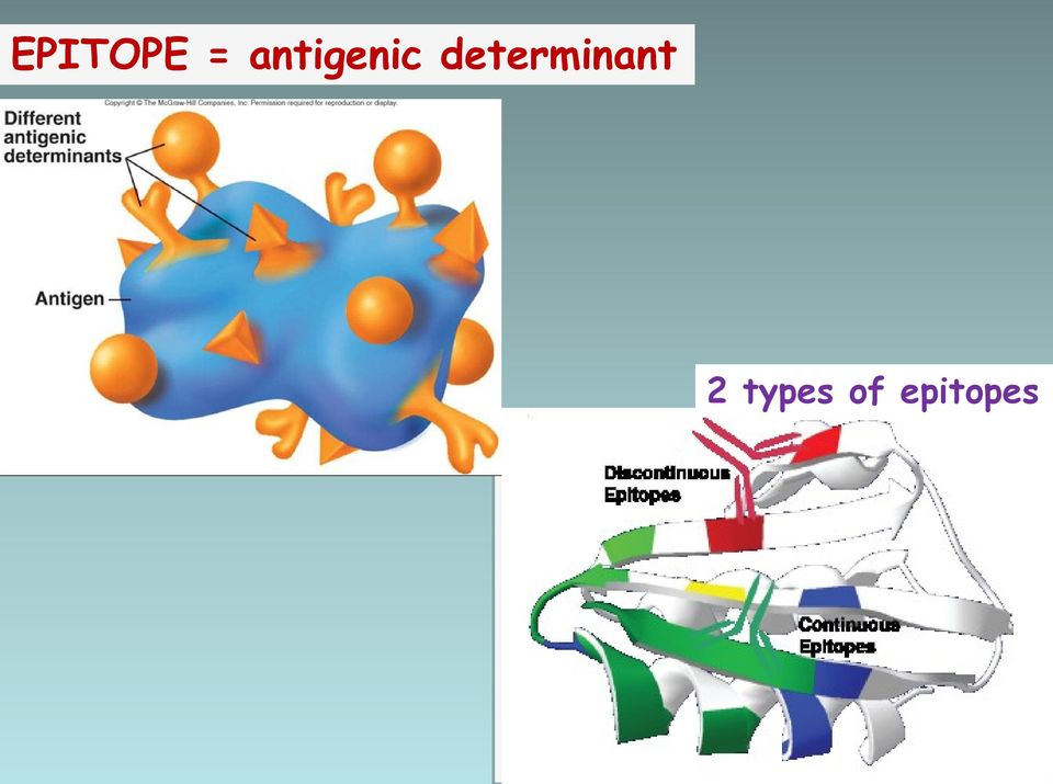 determinant