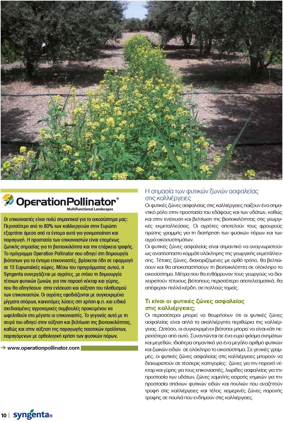 Το πρόγραμμα Operation Pollinator που οδηγεί στη δημιουργία βιότοπων για τα έντομα επικονιαστές, βρίσκεται ήδη σε εφαρμογή σε 13 Ευρωπαϊκές χώρες.