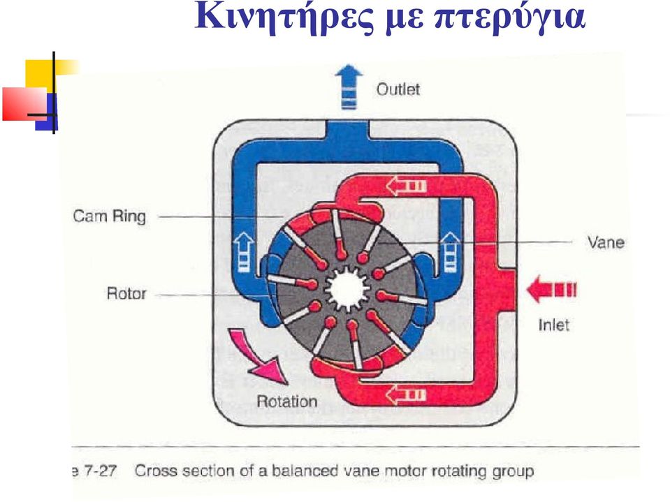 πτερύγια