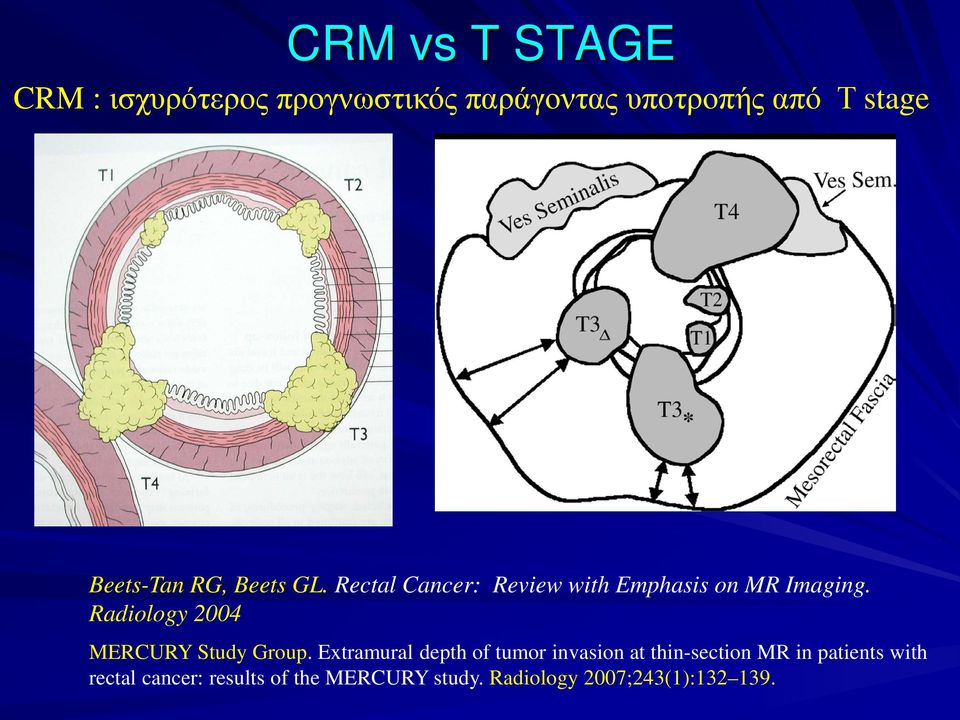 Radiology 2004 MERCURY Study Group.