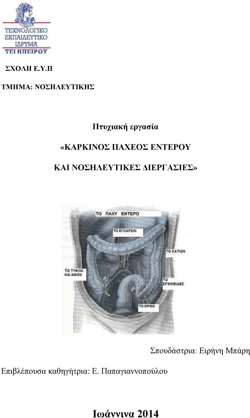 «ΚΑΡΚΙΝΟΣ ΠΑΧΕΟΣ ΕΝΤΕΡΟΥ ΚΑΙ ΝΟΣΗΛΕΥΤΙΚΕΣ