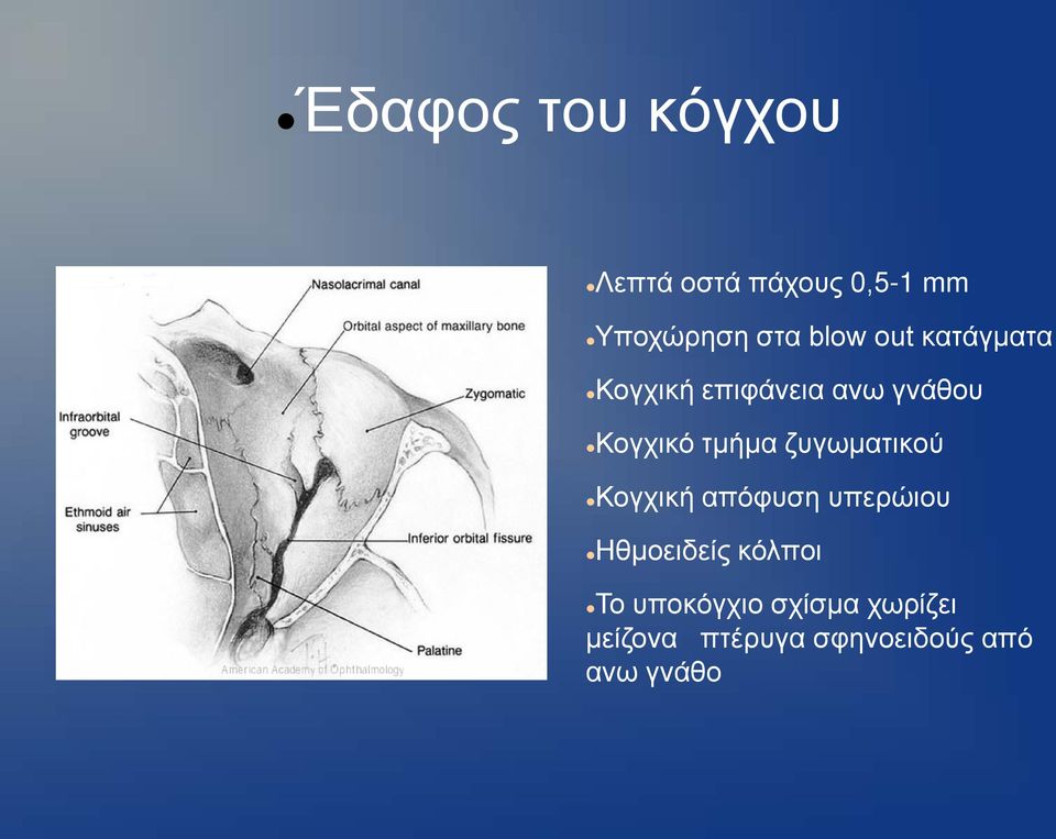 ζυγωματικού Κογχική απόφυση υπερώιου Ηθμοειδείς κόλποι Το