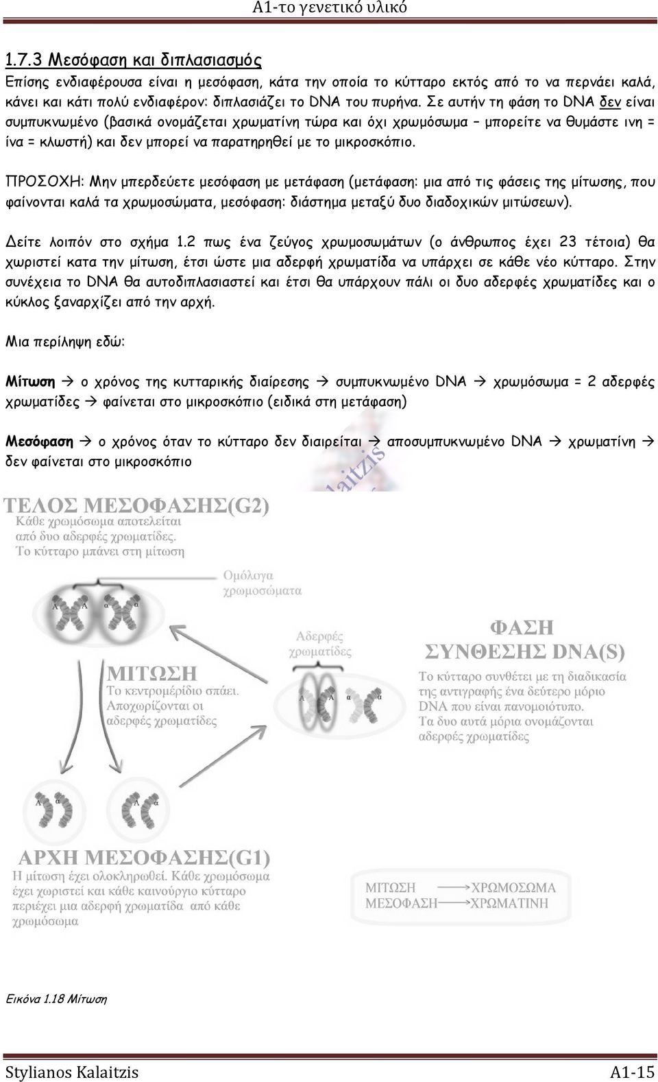 Σε αυτήν τη φάση το DNA δεν είναι συμπυκνωμένο (βασικά ονομάζεται χρωματίνη τώρα και όχι χρωμόσωμα μπορείτε να θυμάστε ινη = ίνα = κλωστή) και δεν μπορεί να παρατηρηθεί με το μικροσκόπιο.