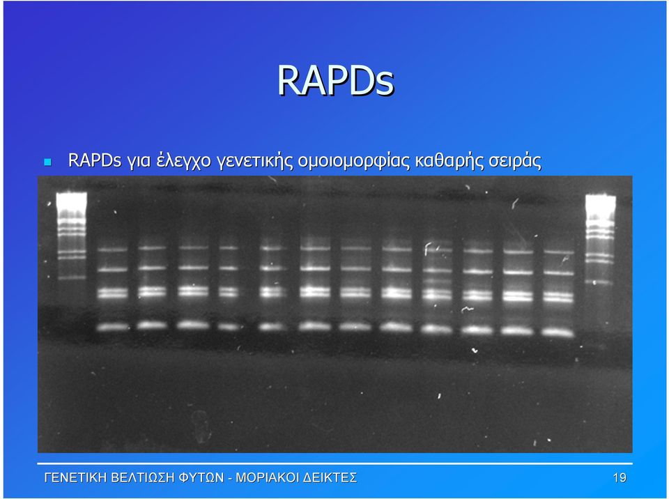 καθαρής σειράς ΓΕΝΕΤΙΚΗ