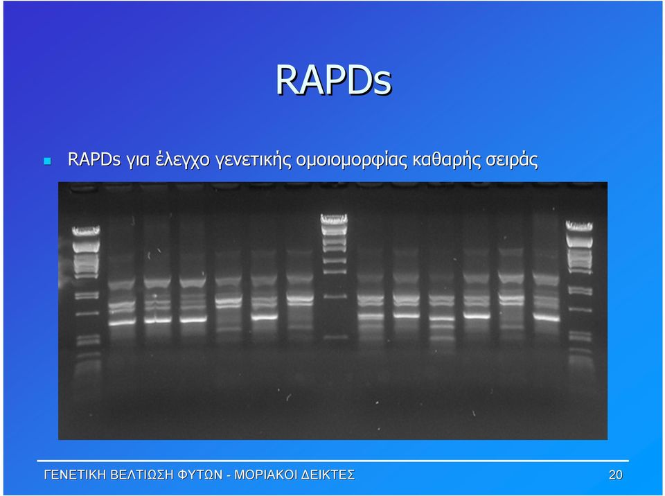 καθαρής σειράς ΓΕΝΕΤΙΚΗ