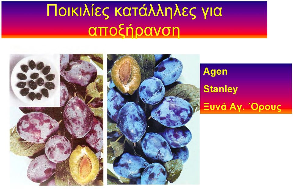 αποξήρανση Agen