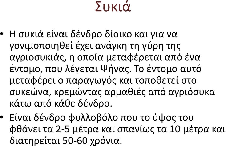 Το έντομο αυτό μεταφέρει ο παραγωγός και τοποθετεί στο συκεώνα, κρεμώντας αρμαθιές από