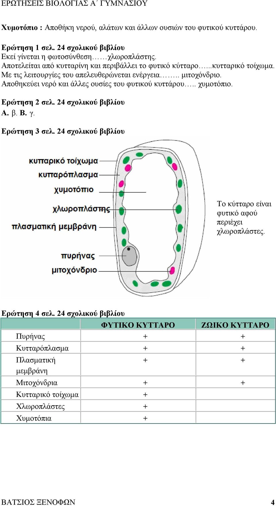 Αποθηκεύει νερό και άλλες ουσίες του φυτικού κυττάρου.. χυμοτόπιο. Ερώτηση 2 σελ. 24 σχολικού βιβλίου Α. β. B. γ. Ερώτηση 3 σελ.