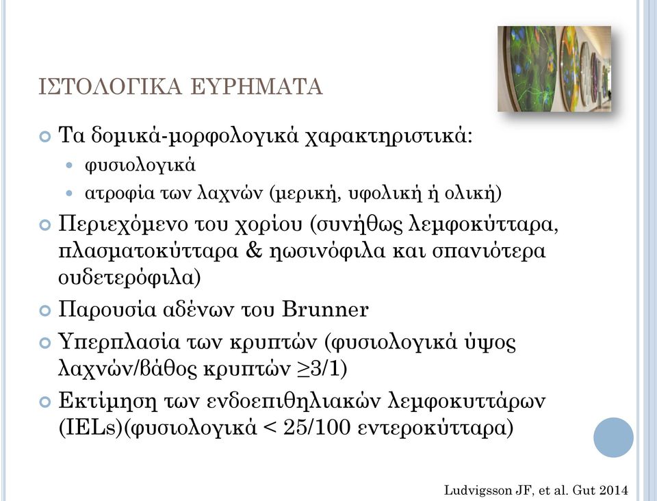 ουδετερόφιλα) Παρουσία αδένων του Brunner Υπερπλασία των κρυπτών (φυσιολογικά ύψος λαχνών/βάθος κρυπτών