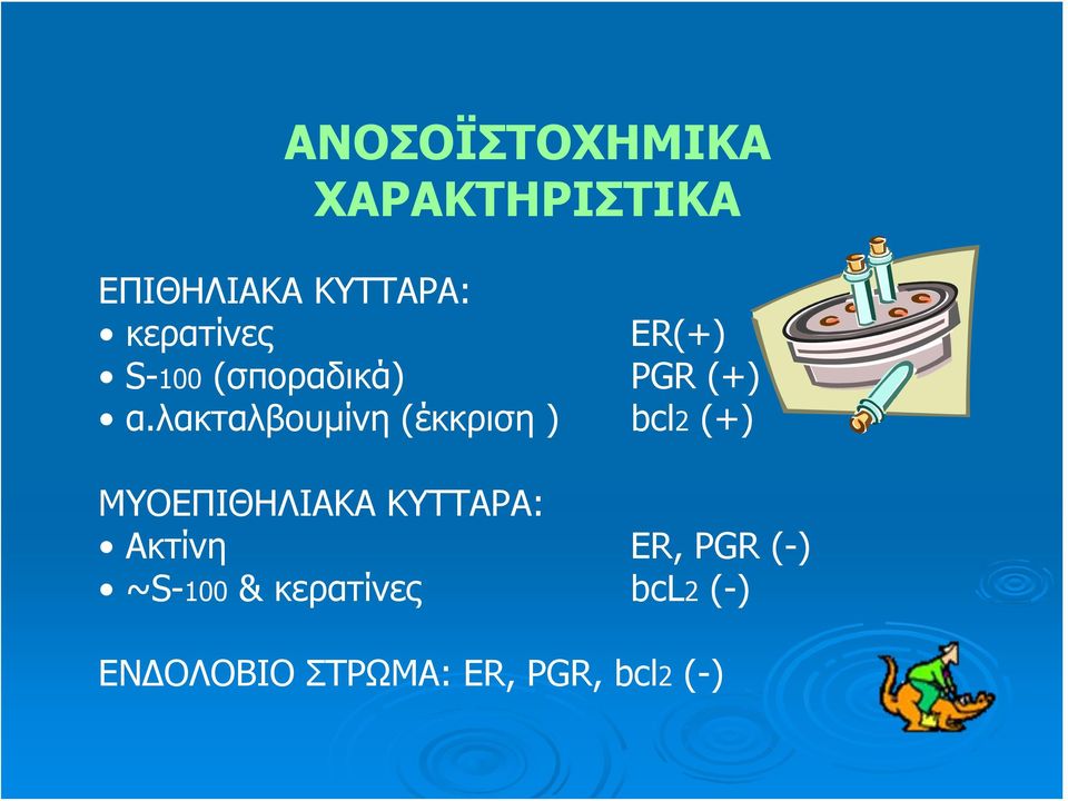 λακταλβουμίνη (έκκριση ) bcl2 (+) ΜΥΟΕΠΙΘΗΛΙΑΚΑ ΚΥΤΤΑΡΑ: