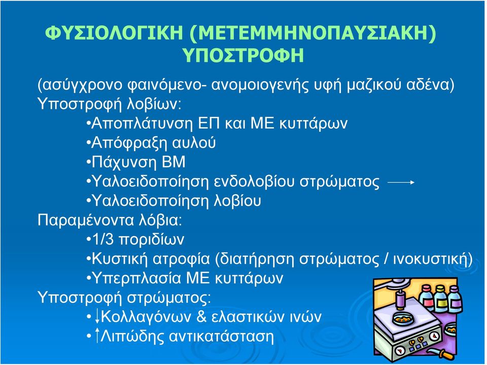 στρώματος Υαλοειδοποίηση λοβίου Παραμένοντα λόβια: 1/3 ποριδίων Κυστική ατροφία (διατήρηση στρώματος