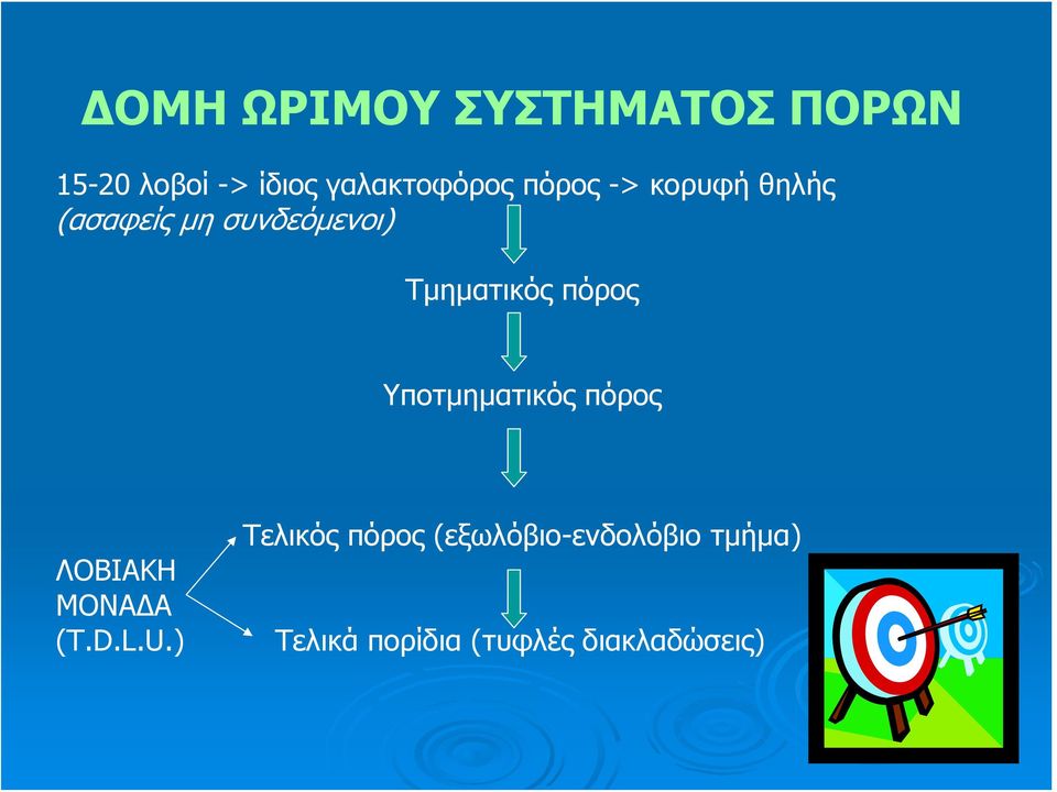 πόρος Υποτμηματικός πόρος ΛΟΒΙΑΚΗ ΜΟΝΑΔΑ (T.D.L.U.