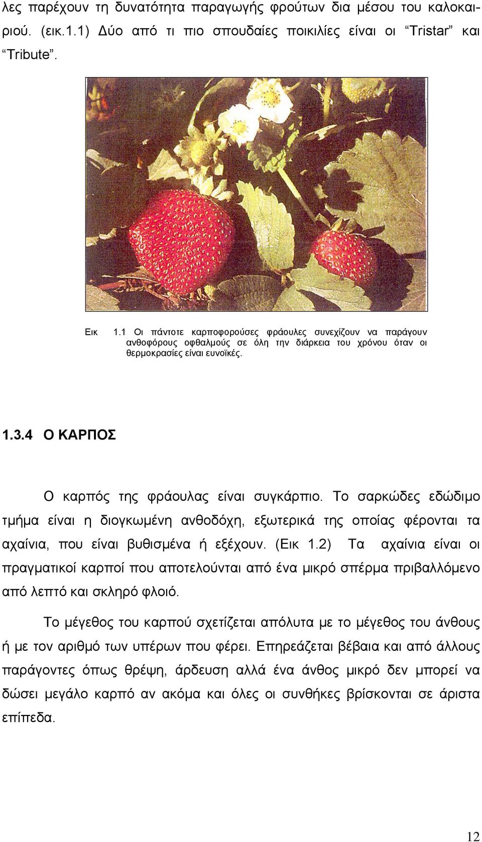 4 Ο ΚΑΡΠΟΣ Ο καρπός της φράουλας είναι συγκάρπιο. Το σαρκώδες εδώδιµο τµήµα είναι η διογκωµένη ανθοδόχη, εξωτερικά της οποίας φέρονται τα αχαίνια, που είναι βυθισµένα ή εξέχουν. (Εικ 1.
