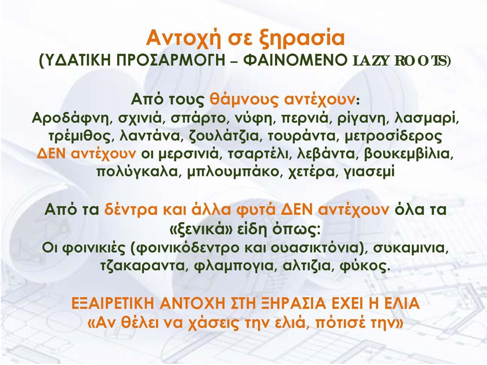 μπλουμπάκο, χετέρα, γιασεμί Από τα δέντρα και άλλα φυτά ΔΕΝ αντέχουν όλα τα «ξενικά» είδη όπως: Οι φοινικιές (φοινικόδεντρο και