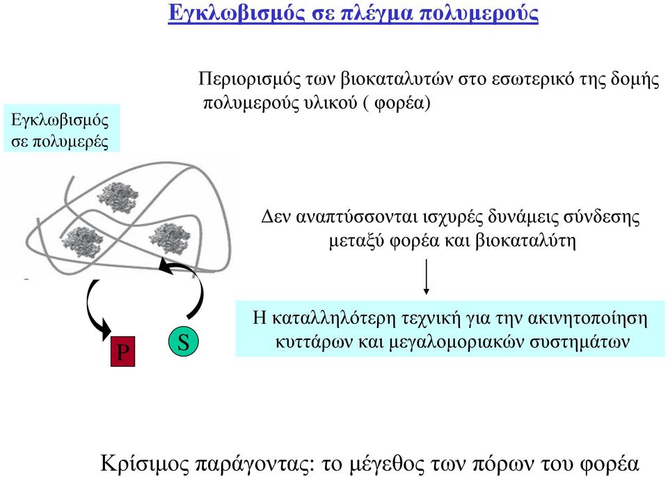 σύνδεσης μεταξύ φορέα και βιοκαταλύτη P S Η καταλληλότερη τεχνική για την ακινητοποίηση