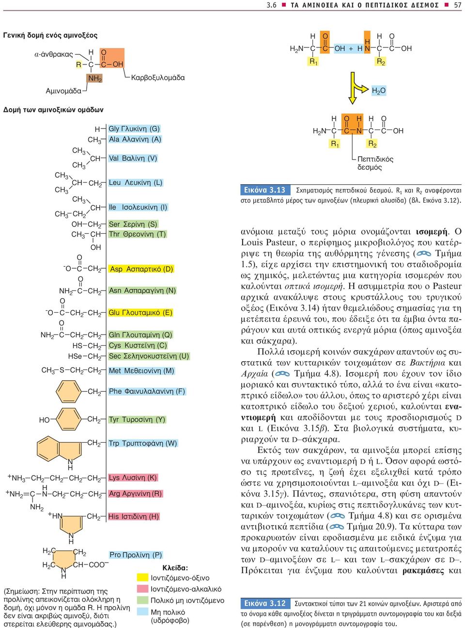 ÛÙÂ ÓË () Sec ÂÏËÓÔÎ ÛÙÂ ÓË (U) Met MÂıÂÈÔÓ ÓË (M) Phe º ÈÓ Ï Ï Ó ÓË (F) Tyr T ÚÔÛ ÓË (Y) Trp TÚ appleùôê ÓË (W) Lys Û ÓË (K) Arg AÚÁÈÓ ÓË (R) is IÛÙÈ ÓË () 2 2 Pro ÚÔÏ ÓË (P) 2 KÏÂ : IÔÓÙÈ